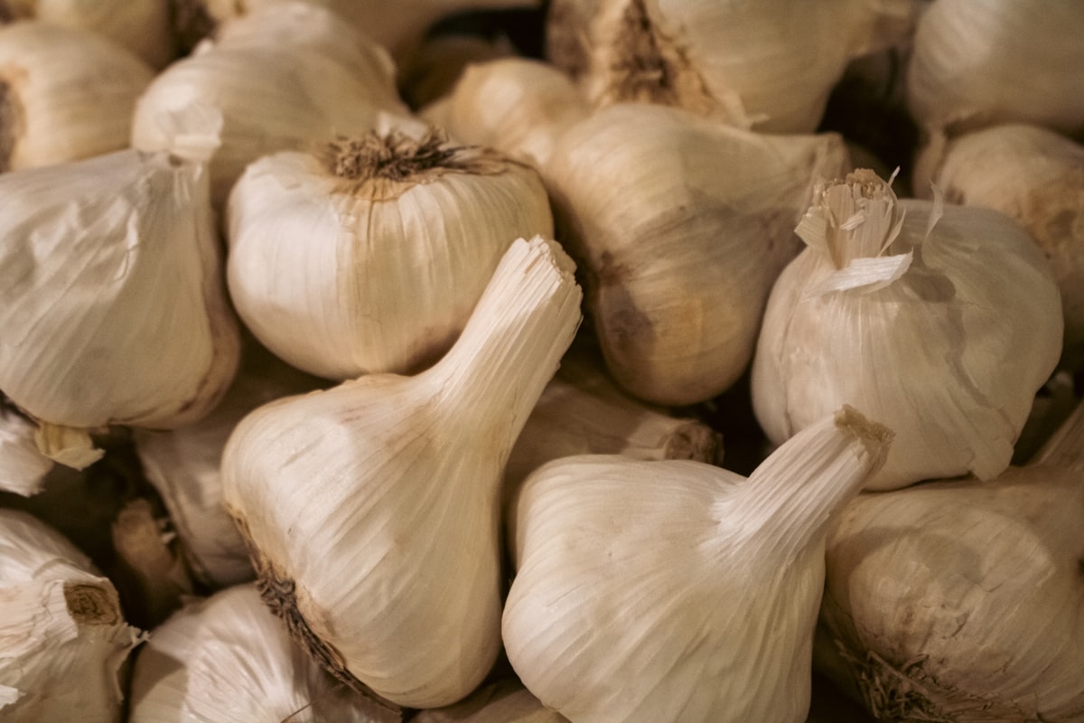 Aglio Rosso di Sulmona